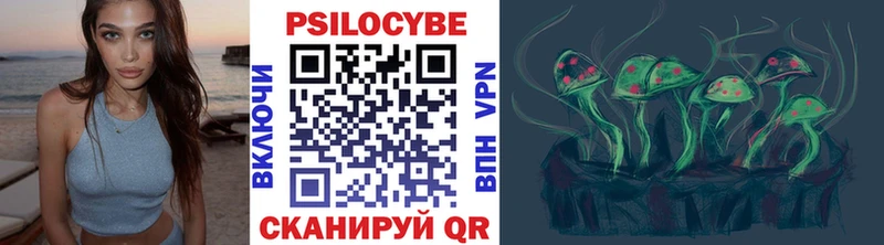Псилоцибиновые грибы MAGIC MUSHROOMS где купить наркоту блэк спрут как зайти Печора