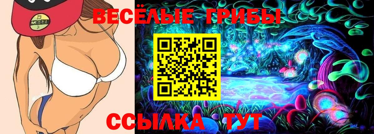 Псилоцибиновые грибы мухоморы Печора