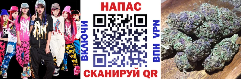 Конопля OG Kush Печора