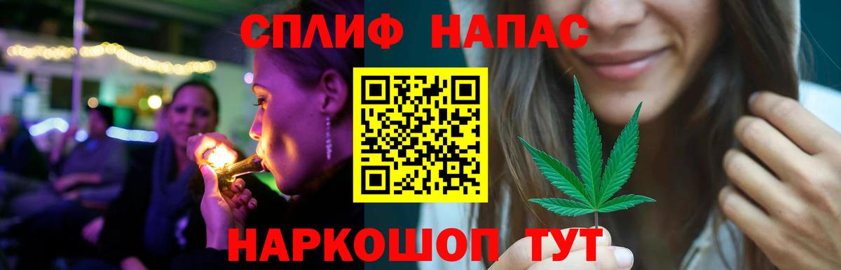 Бошки Шишки планчик Печора